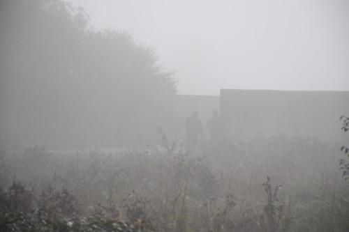 NETTLE II