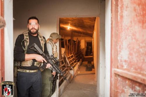 NETTLE IV